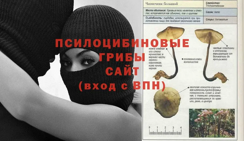 Цена Бирюч АМФЕТАМИН  Галлюциногенные грибы  Меф мяу мяу  Гашиш  КОКАИН 